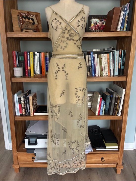 Free People Dresses & Skirts - Free People Sheer Embroidered Slip Dress in Champagne